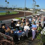 LosAl_Race_0051 (July 26, 2015)